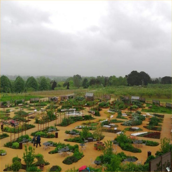 World Food Garden in the rain, seen from the Hilltop Sky Terrace, RHS Wisley May 2022