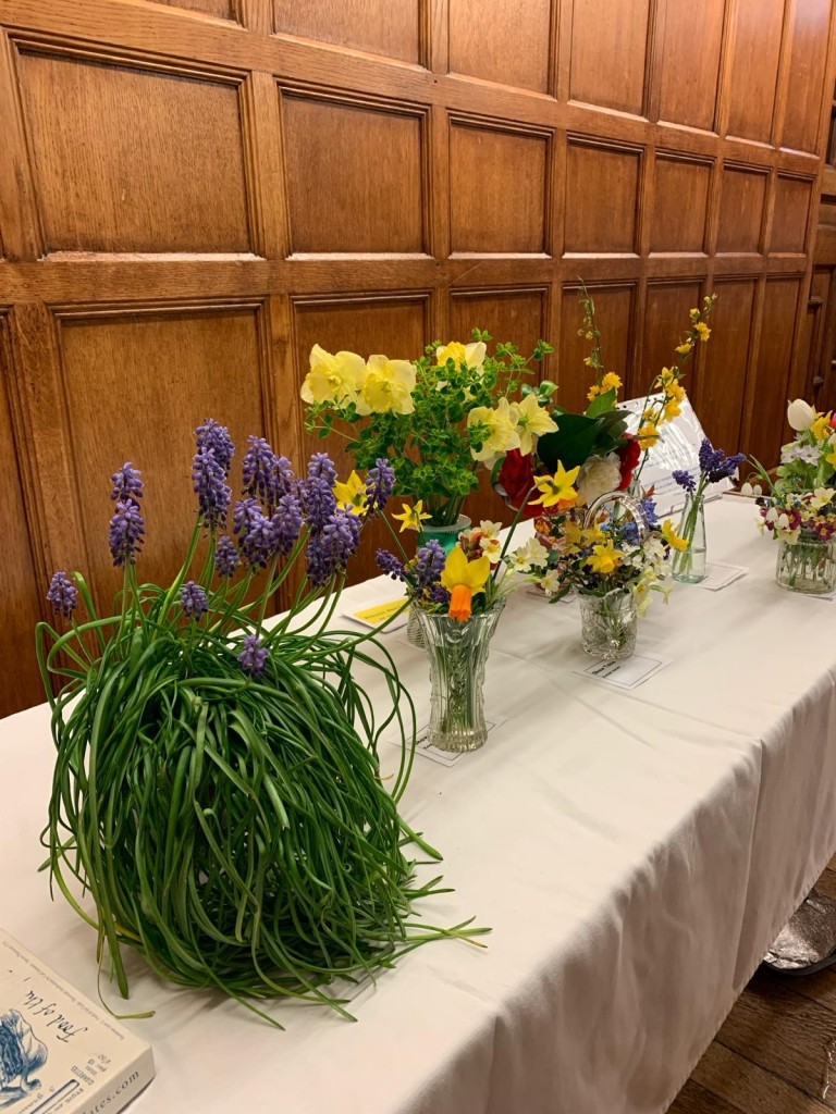 Muscari and flowers on Show Table